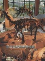 国立自然科学博物简介 1999 PDF电子版封面 9799578503631 陈慧玲主编