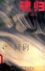 魂归（1994 PDF版）