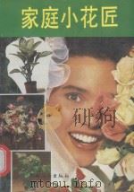 家庭小花匠（1992 PDF版）