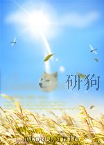 资治通鉴外纪详节10卷（ PDF版）