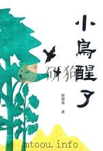 小鸟醒了   1999  PDF电子版封面    赵福海著 