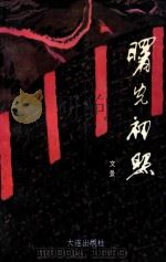 文景报告文学集 曙光初照 1995 PDF电子版封面 7806121544 文景著