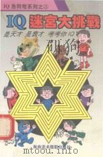 IQ迷宫大挑战 1993 PDF电子版封面 7805715521 平生选编