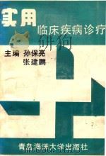 实用临床疾病诊疗 1993 PDF电子版封面 孙宝亮主编