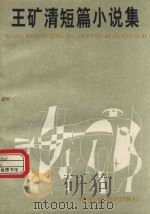 长城文学丛书  王矿清短篇小说集（1991 PDF版）