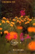 情系彝山（1995 PDF版）
