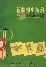 新疆棉虫防治 1974 PDF电子版封面 130981 库车县农业技术推广站,新疆农业科学院库车工作组编
