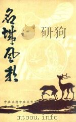 名城风彩（1988 PDF版）