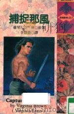 捕捉那风（1997 PDF版）