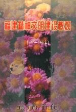 福建精神文明建设概观  1995-1996（1998 PDF版）