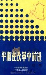 平顺在改革中前进 续集 1991 PDF电子版封面 申增文;任玉文编