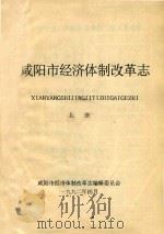 咸阳市经济体制改革志 上 1992 PDF电子版封面 咸阳市经济体制改革志编辑委员会