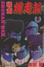 湘南爆走族  13（1995 PDF版）
