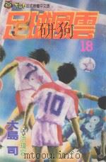 足球风云 18 1994 PDF电子版封面 9573411202 大岛司著;洪琼容译