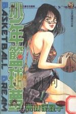 少年篮球梦.2 1996 PDF电子版封面 9573444380 (日)西山优里子著