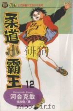 柔道小霸王  12（1994 PDF版）
