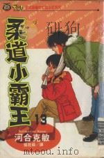 柔道小霸王 13 1994 PDF电子版封面 9573409674 河合克敏著;张詹舜译