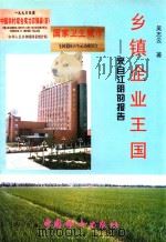 乡镇企业王国——来自江阴的报告 1995 PDF电子版封面 7-80016-924-3 吴志云著
