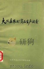 大兴县农村商品生产调查  《北京研究》材料汇编  4   1984  PDF电子版封面    北京市委宣传部理论处编 