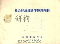 社会经济统计学原理图释 1985 PDF电子版封面