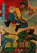 金童剑影 金剑雕翎前传 3 1989 PDF电子版封面 7800740501 (台湾)卧龙生著