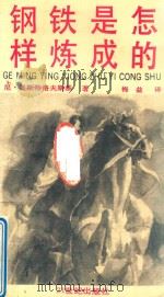 钢铁是怎样炼成的 少年版 1990 PDF电子版封面 7539103612 (苏)奥斯特洛夫斯基原著;梅益译;菡子改写