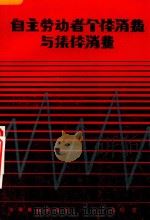 自主劳动者个体消费与集体消费   1986  PDF电子版封面  4271207  朱玲著 