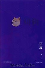 狂流 PDF电子版封面 二湘著
