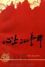 心上的丰碑 1993 PDF电子版封面 721201009X 中共淮北市委党史办公室编