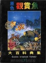 原色观赏鱼大百科典集  下（ PDF版）