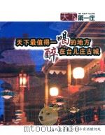 天下第一庄 台儿庄古城 2013 今宵酒醒何处 PDF电子版封面