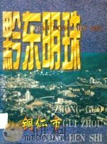 黔东明珠 中国·贵州铜仁市 PDF电子版封面 孙一飞主编