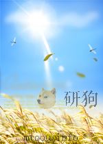公证律师业务资料 3 1993 PDF电子版封面 贵州省司法厅公证律师处编