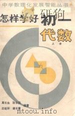 怎样学好初一代数  上（1989 PDF版）
