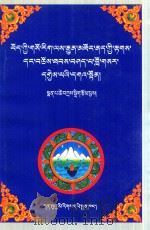 藏医诊治各种常见病   1999  PDF电子版封面  7542106651  才布扎 