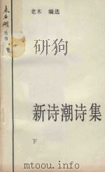 新诗潮诗集  下（1985 PDF版）