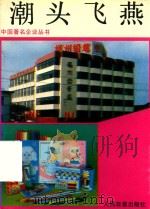 福建著名企业丛书 潮头飞燕 1991 PDF电子版封面 7800023168 王明生主编