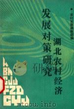 湖北农村经济发展对策研究 1987 PDF电子版封面 9787216100113 农村发展课题组编