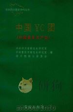 中共四川党史资料丛书 中国 YC 团 1997 PDF电子版封面 7536636407 中共四川省委党史研究室编