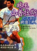 球王山普拉斯  打不倒的网坛巨人（1997 PDF版）