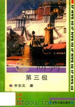 第三极 1998 PDF电子版封面 7801450221 齐志文著