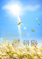 安徽教育 第6期 1960 PDF电子版封面 10056149