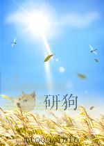 山东文艺 第9期 1965 PDF电子版封面