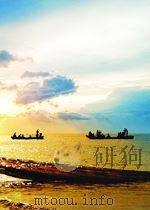 新疆文学 第11期 总第23期 1963 PDF电子版封面
