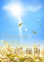 新港  第2期  总第30期   1959  PDF电子版封面     