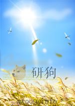 人民海军 第70期 1953 PDF电子版封面