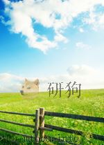 人民海军 第112期 1955 PDF电子版封面