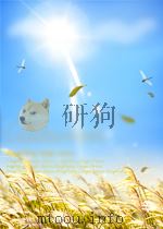 人民工兵 第21期 总第208期 1964 PDF电子版封面