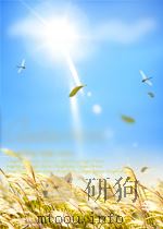八一杂志  第16期  总第161期   1959  PDF电子版封面     