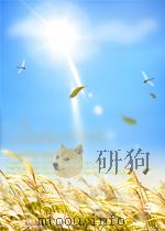 无线电 第11期 总第35期 1957 PDF电子版封面 05124174